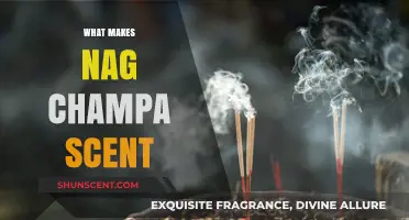 Unveiling the Mystical Blend: What Makes Nag Champa Scent Unique