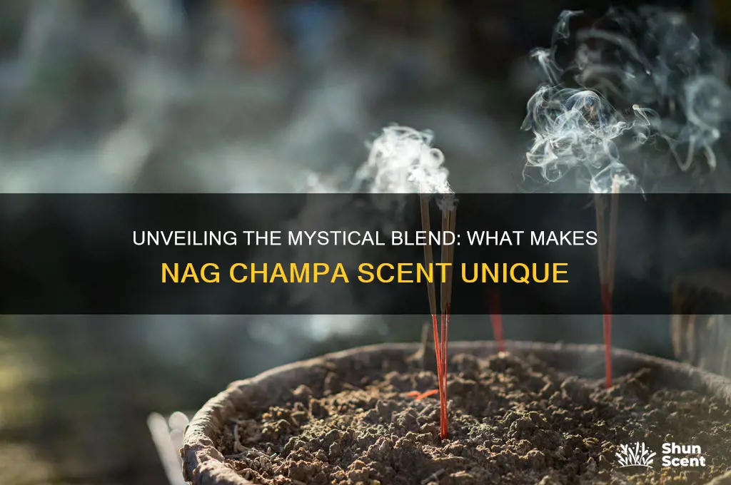 what makes nag champa scent