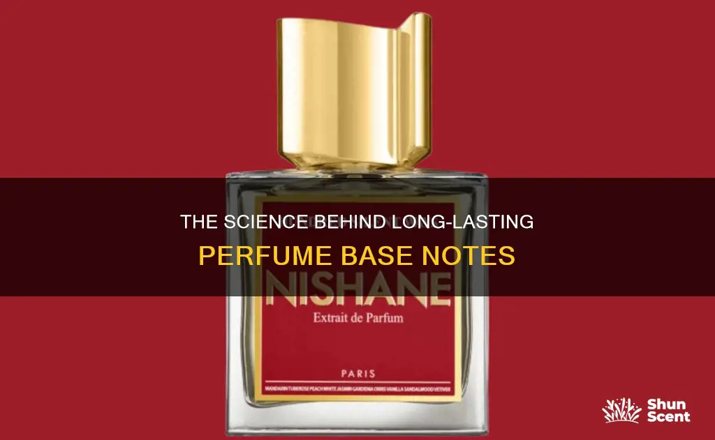 what makes perfume base notes