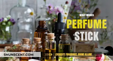 The Science of Scent: Why Perfume Stays
