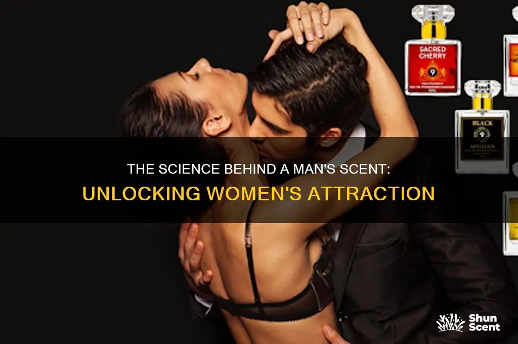 what makes s woman attracted to a man