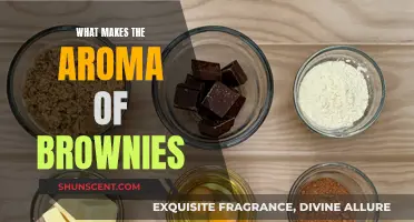 The Chemistry Behind Brownie Aroma