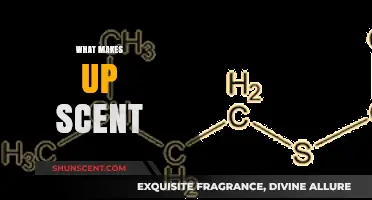 Unveiling the Chemistry Behind Scents: Ingredients, Molecules, and Perception