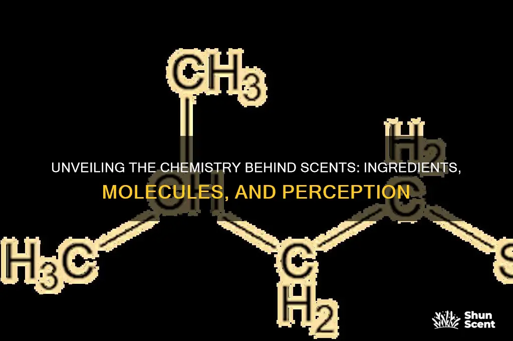 what makes up scent
