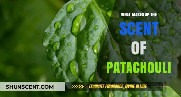 Unveiling Patchouli's Aromatic Secrets: A Deep Dive into Its Scent Profile