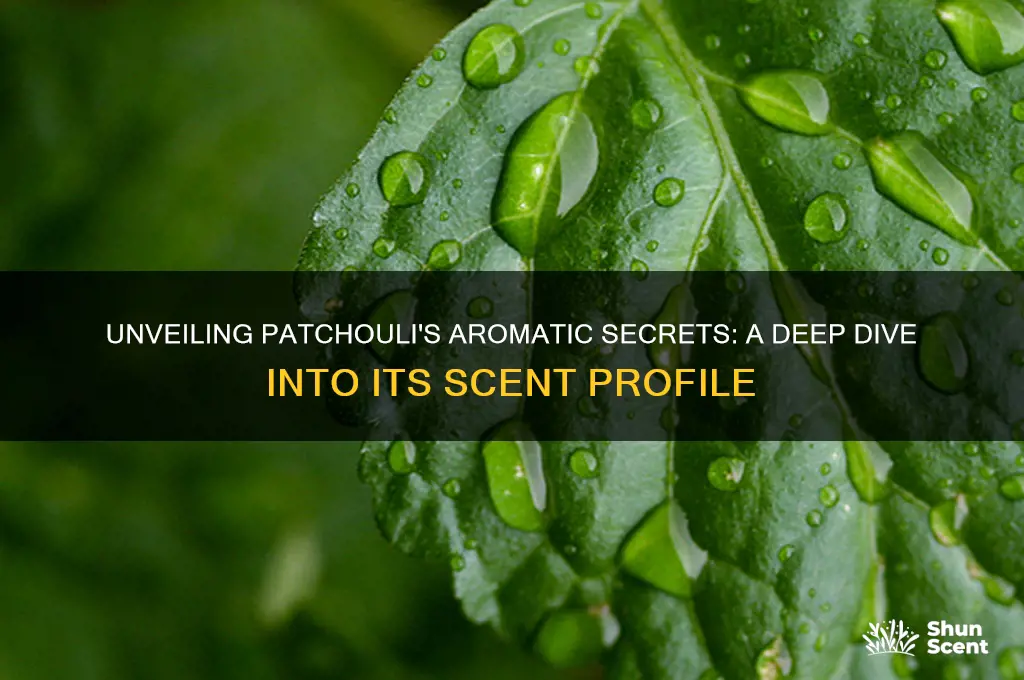 what makes up the scent of patachouli
