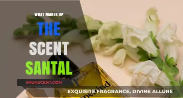Unveiling the Aromatic Secrets: What Makes Up the Scent Santal