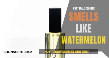 Watermelon-Scented Colognes: A Refreshing Fragrance for Men