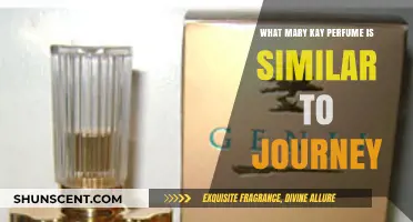 Mary Kay Fragrance Alternatives to Journey: A Comparison