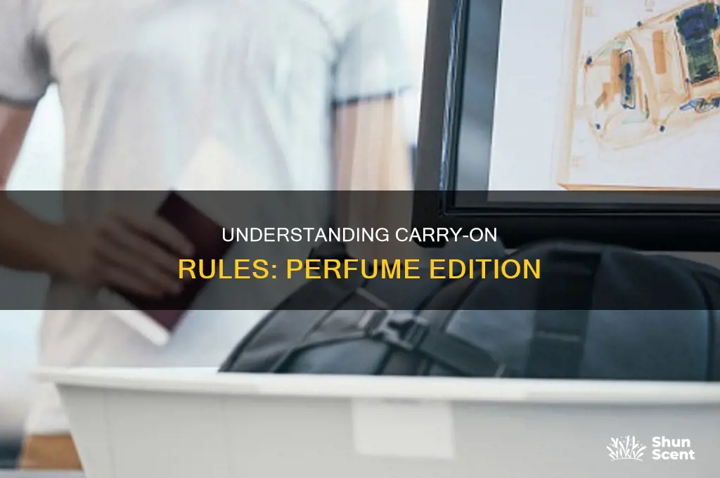 what maximum perfume size on plane