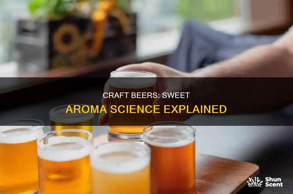 what may account for the sweet aroma of craft beers