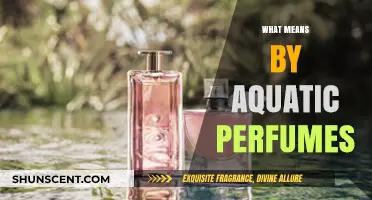 Aquatic Perfumes: A Splash of Ocean in a Bottle
