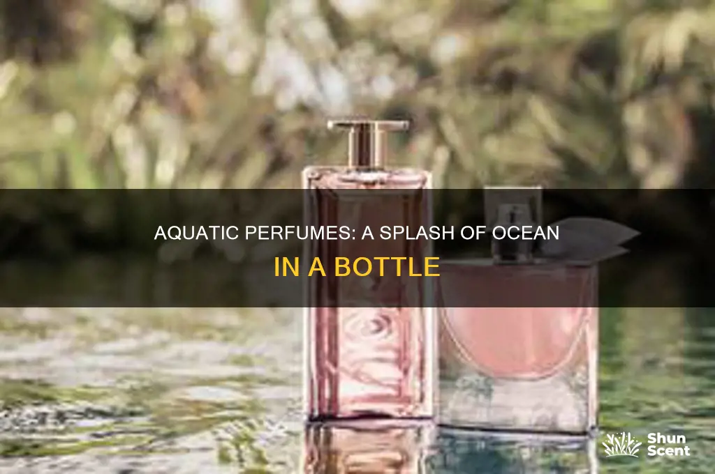 what means by aquatic perfumes
