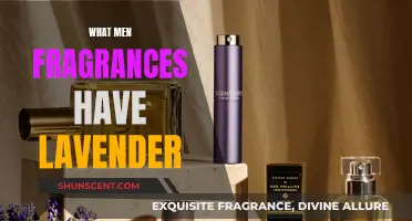 Lavender Scents for Men: Fragrances with a Floral Twist