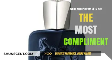Best Men's Fragrances: Compliments Guaranteed