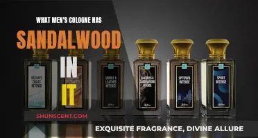 The Best Sandalwood Men's Colognes to Try Now