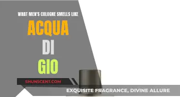 The Alluring Scent of Acqua di Gio for Men