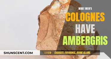 Discover Ambergris-Infused Colognes for Men