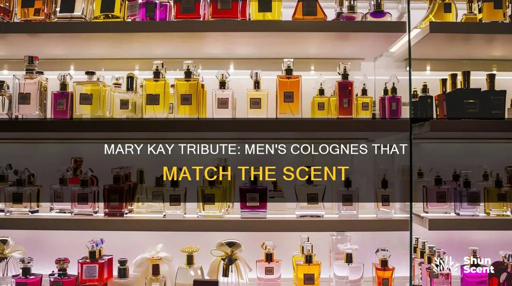 what mens colognes smell similiar to mary kay tribute