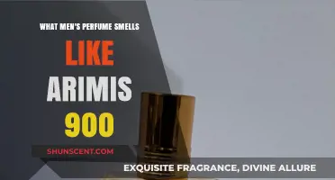 Discovering the Scent of Arimis 900 for Men