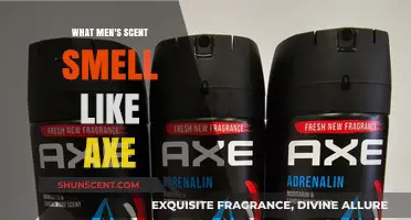Unveiling the Bold, Masculine Scent of Axe: What Men's Fragrance Smells Like