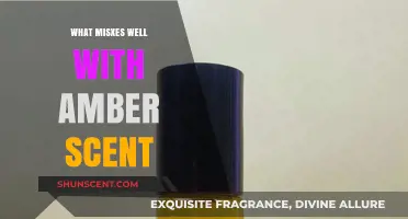 Amber Aromas: Perfect Fragrance Blends to Enhance Your Scent Experience