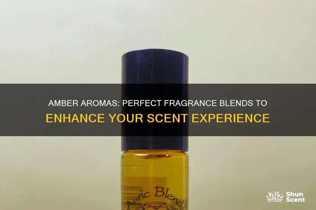 what misxes well with amber scent