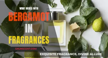 Bergamot's Perfect Partners in Fragrance: A Guide