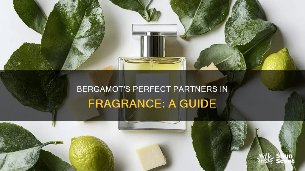 what mixes with bergamot in fragrances