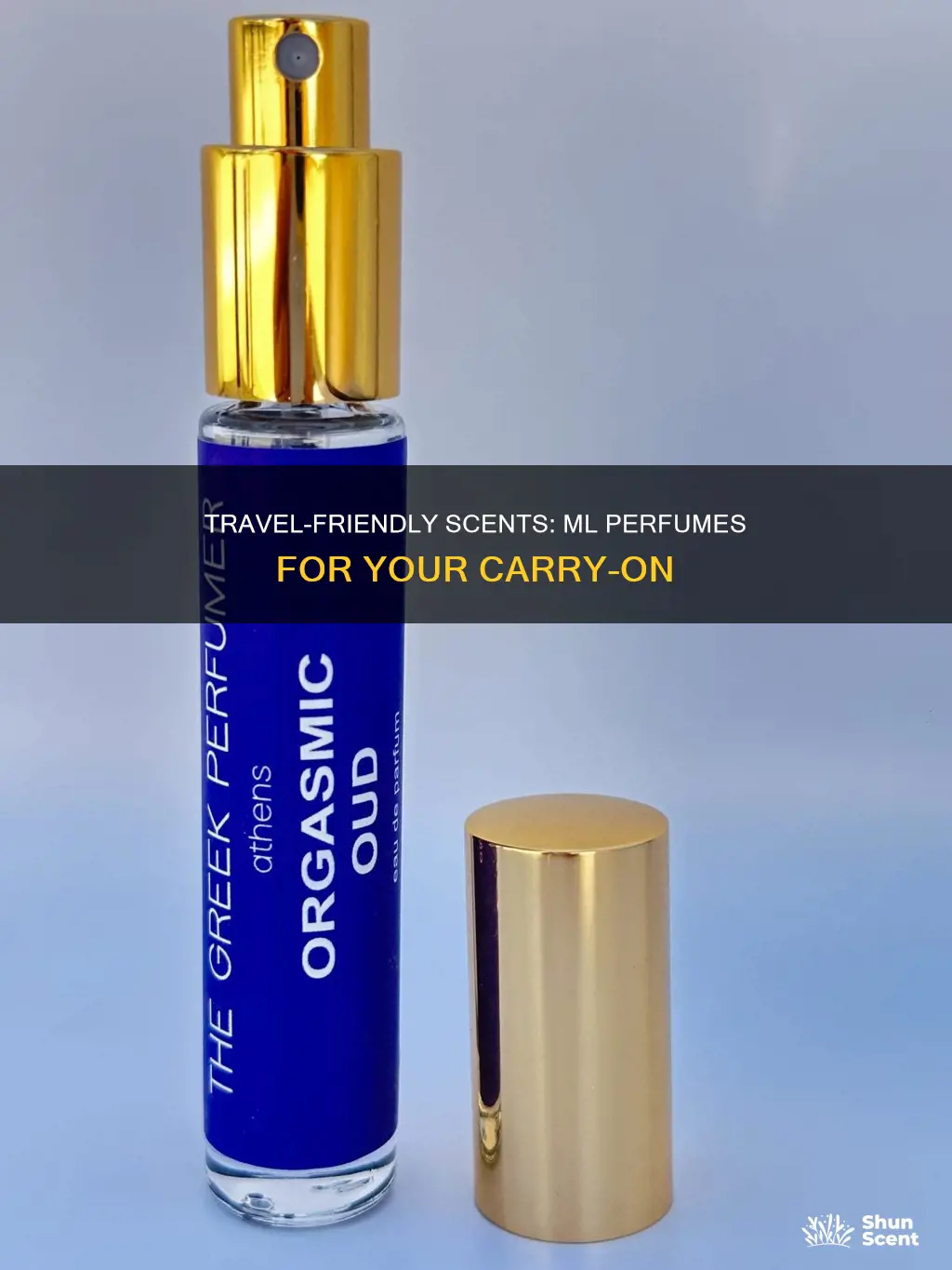 what ml perfume can you take on plane