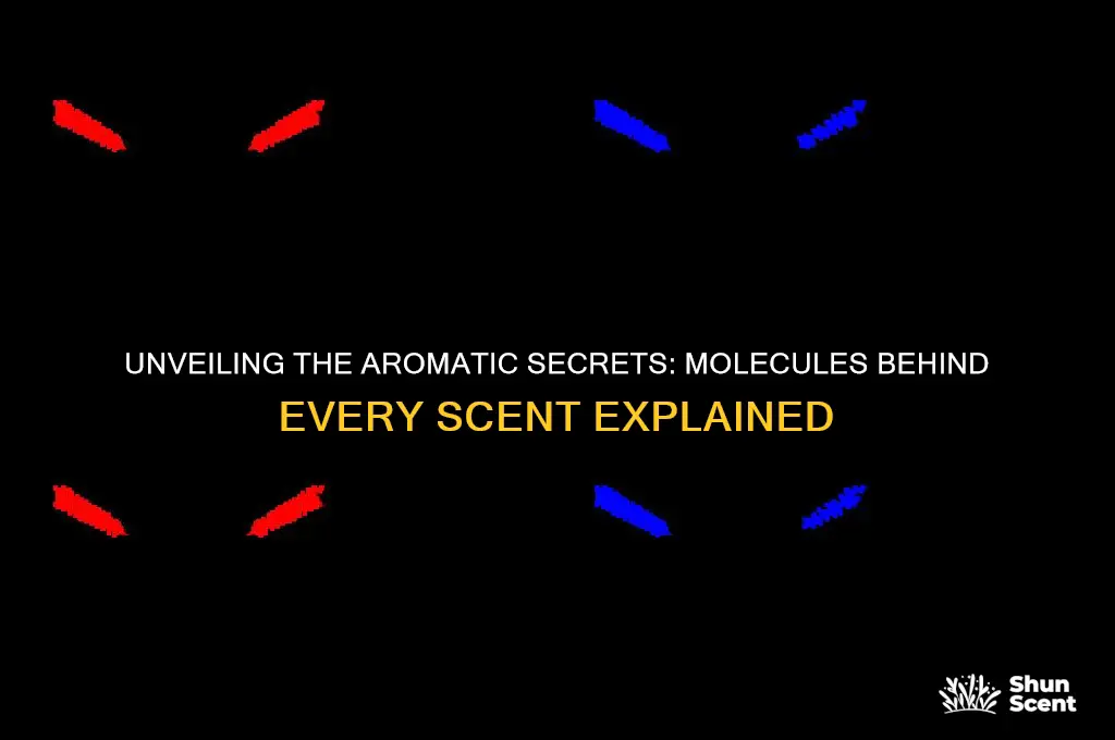 what molecules cause scent