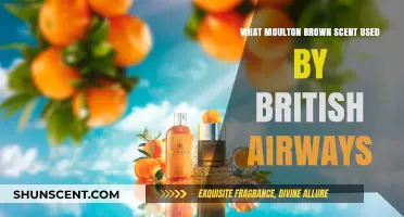 British Airways' Signature Scent: Unveiling Moulton Brown's Exclusive Fragrance