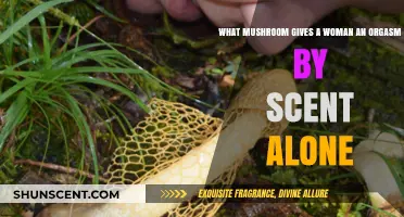 Can the Scent of This Mushroom Trigger Female Orgasms?