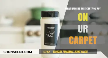 Discover the Perfect Carpet Freshener Name for Your Home Scent