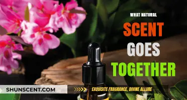 Harmonious Natural Scents: Discover Perfect Pairings for a Blissful Aromatic Blend
