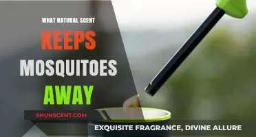 Natural Mosquito Repellents: Scents That Keep Bugs at Bay