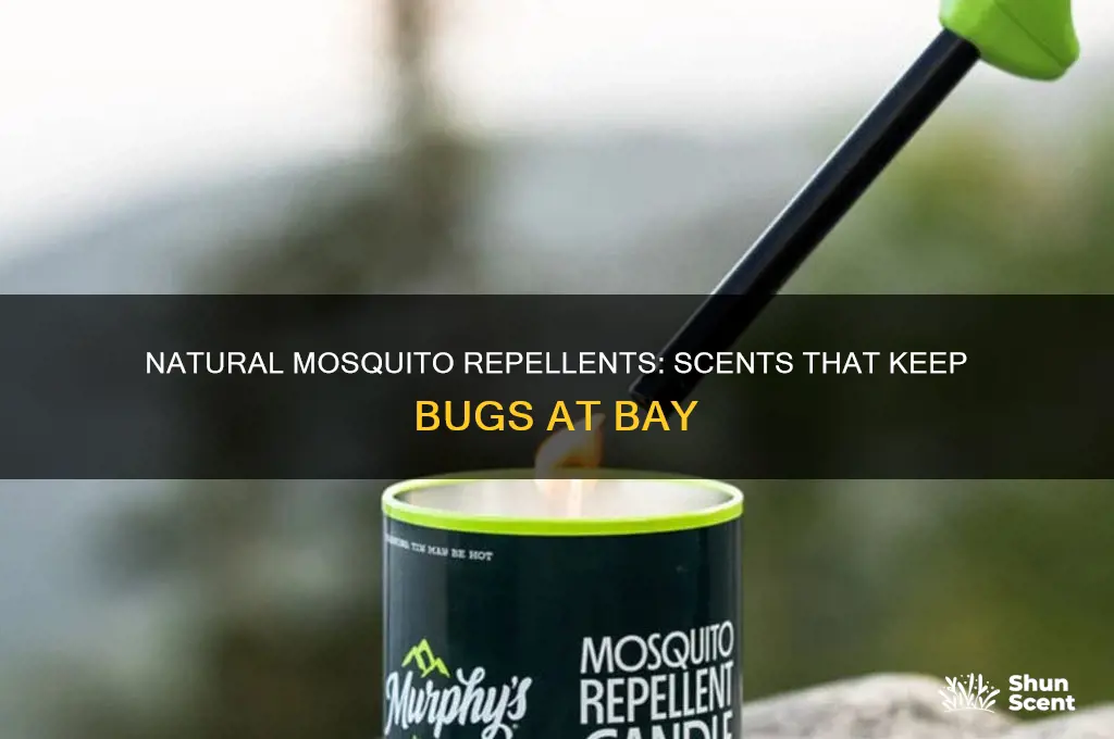what natural scent keeps mosquitoes away