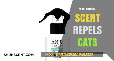 Natural Scents That Keep Cats Away: Effective and Safe Repellents