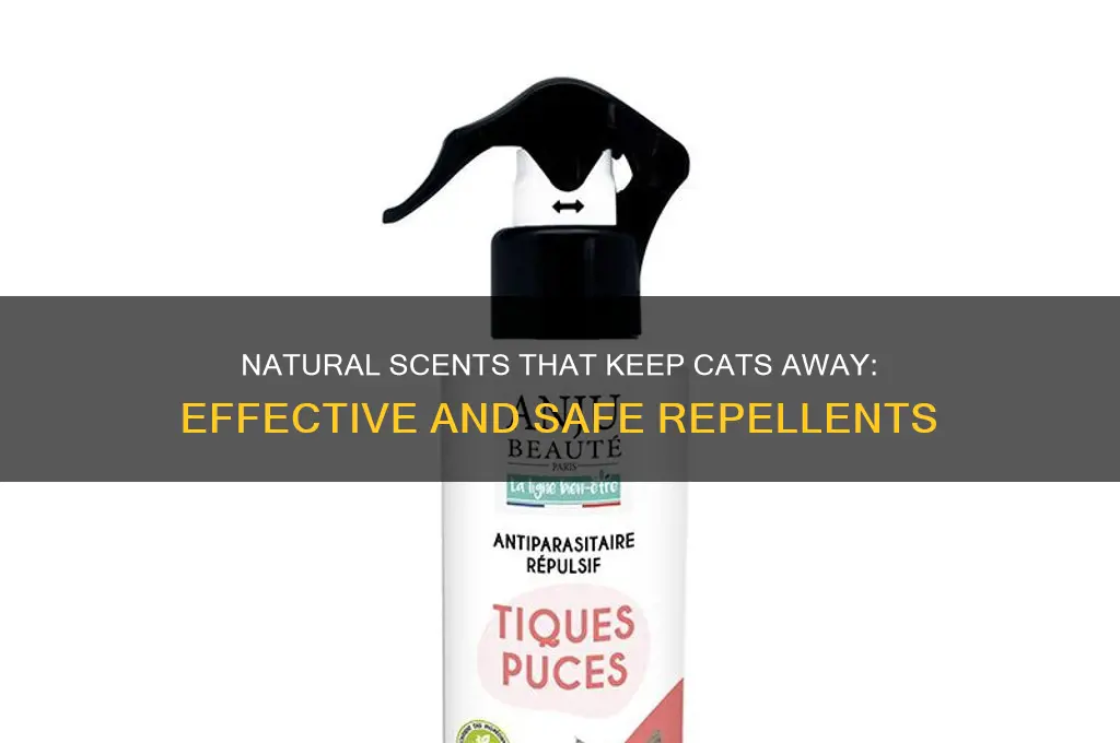 what natural scent repels cats