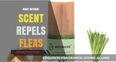 Natural Flea Repellents: Discover Scents That Keep Fleas at Bay