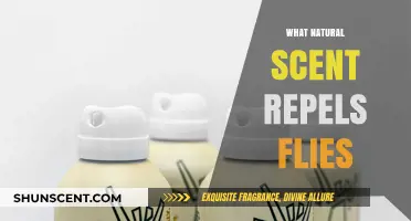 Natural Fly Repellents: Discover Scents That Keep Flies Away Effectively