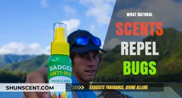 Natural Bug Repellents: Scents to Keep Pests at Bay