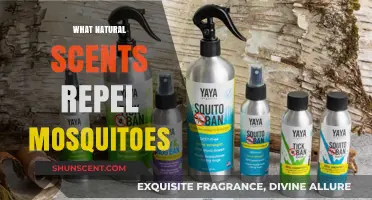 Natural Scents to Keep Mosquitoes Away: Effective Aromatic Repellents