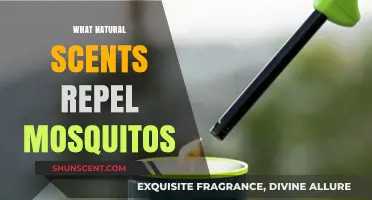 Natural Mosquito Repellents: Scents to Keep Pesky Bugs at Bay