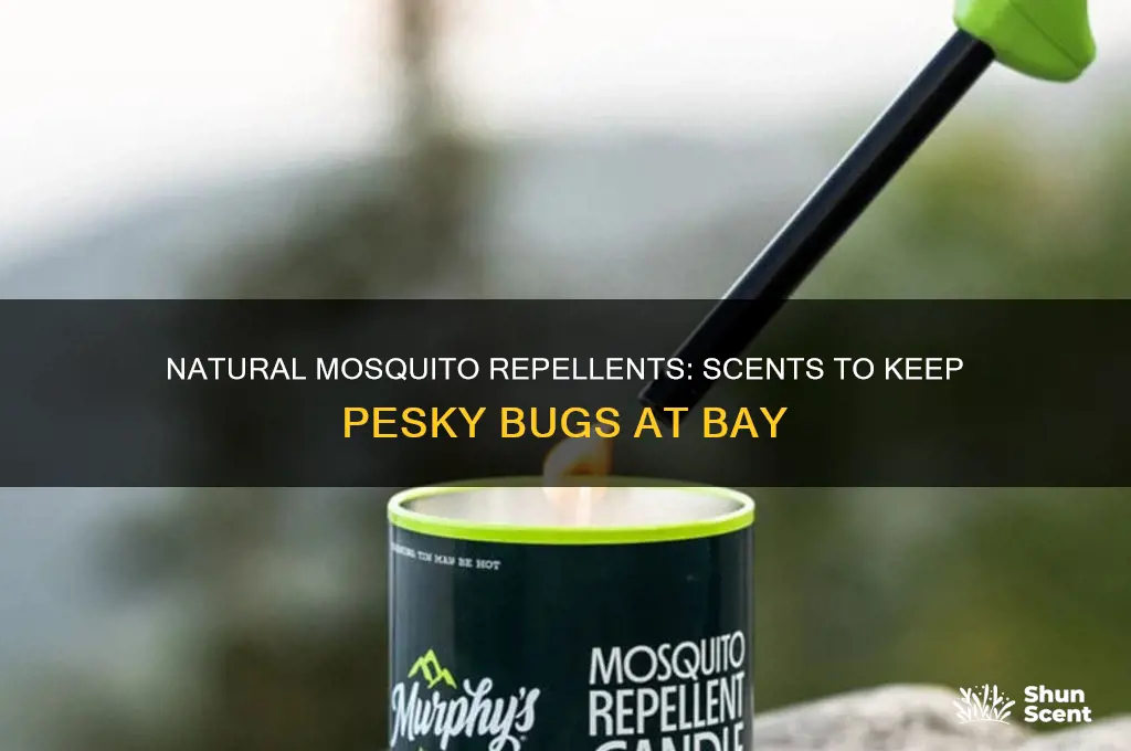 what natural scents repel mosquitos