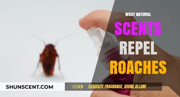Natural Roach Repellents: Scents to Keep Cockroaches at Bay