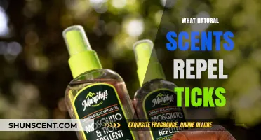 Natural Tick Repellents: Scents to Keep Ticks at Bay Safely