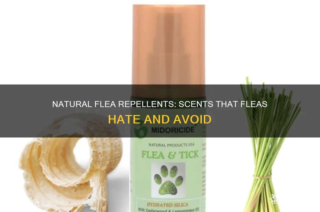 what naturally scents do fleas hate