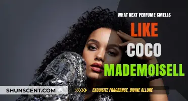 Perfumes Similar to Chanel's Coco Mademoiselle