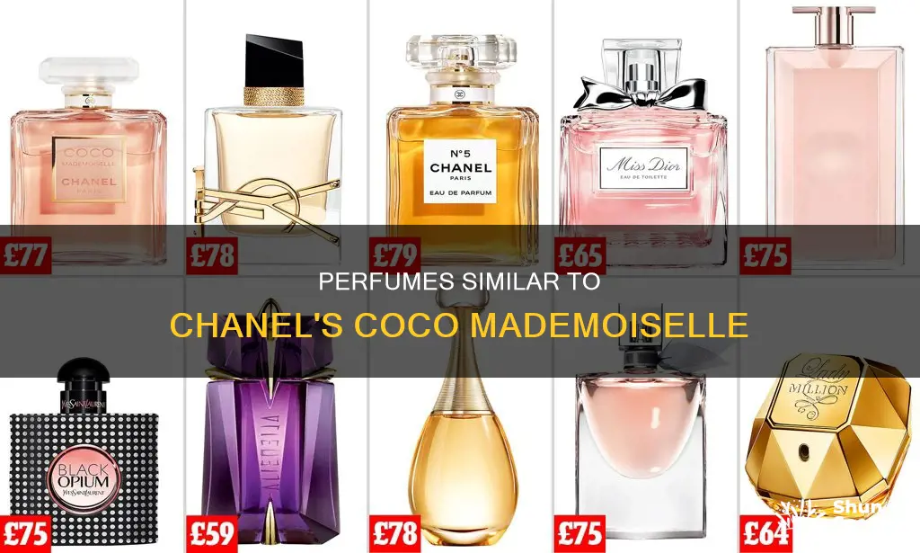 what next perfume smells like coco mademoiselle
